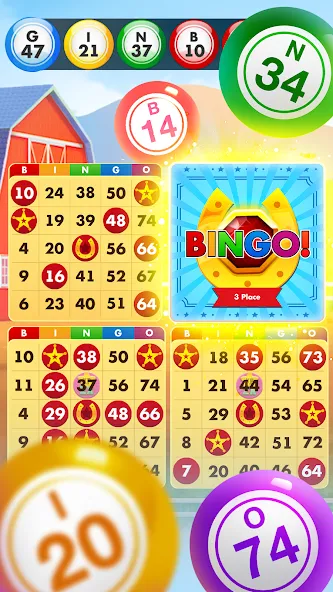 Скачать Bingo Country Boys: Tournament с модом — Много денег и бонусов — скриншот 2 Скачать Bingo Country Boys: Tournament с модом — Много денег и бонусов — скриншот 2
