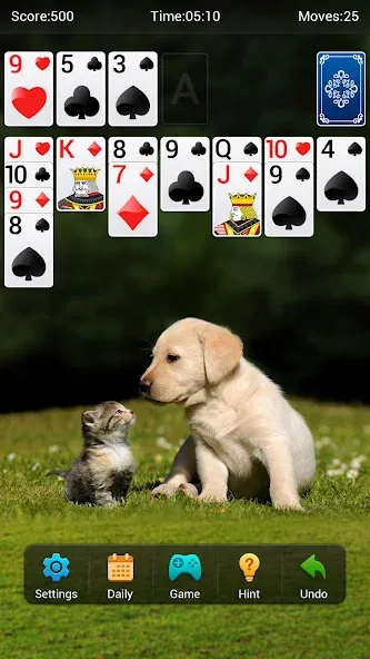 Solitaire — Взломанная версия (Много денег) — скриншот 3
