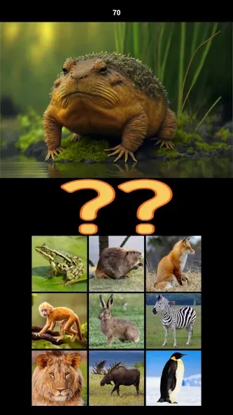 Hybrid Animals Crazy Lab Quiz на Андроид — Мод Все ответы открыты — скриншот 4