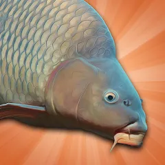 Carp Fishing Simulator — Мод: Все снасти разблокированы