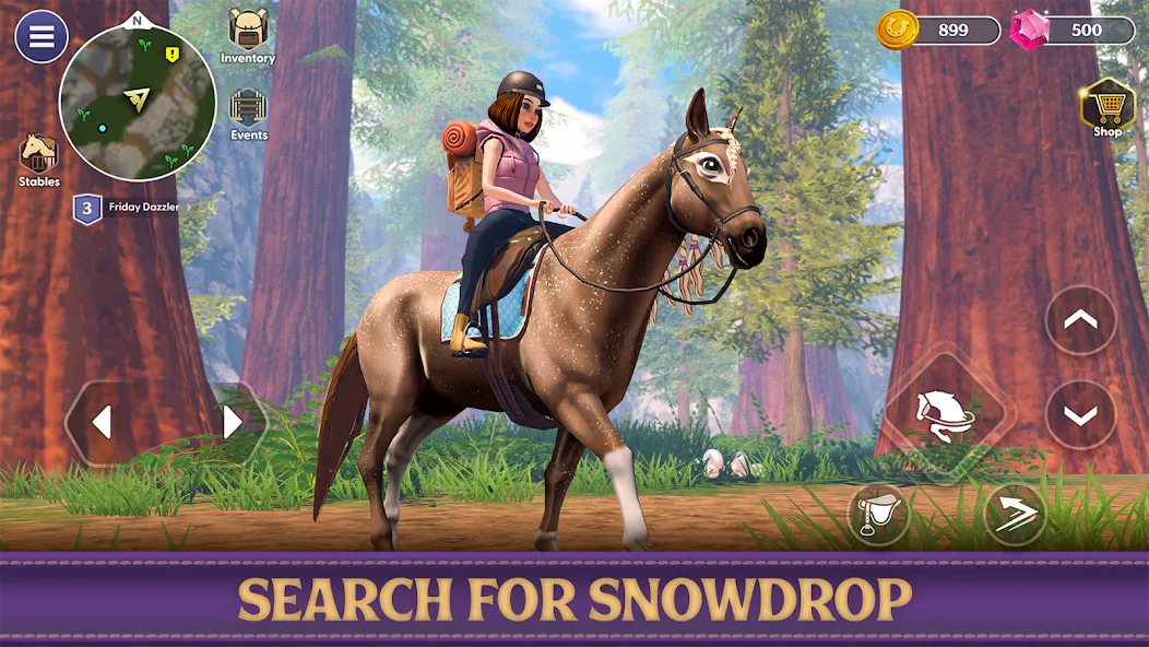 Star Equestrian - Horse Ranch на Андроид — Бесконечные деньги и премиум лошади — скриншот 3