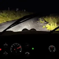 Endless Night Drive — Мод: Много денег