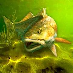 Скачать My Fishing World — Последняя версия (Много денег)