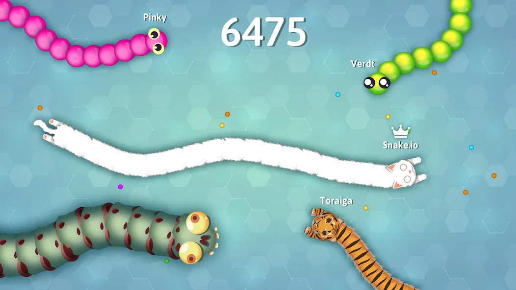 Скачать Snake.io - Fun Snake .io Games — Последняя версия (Много денег) — скриншот 5