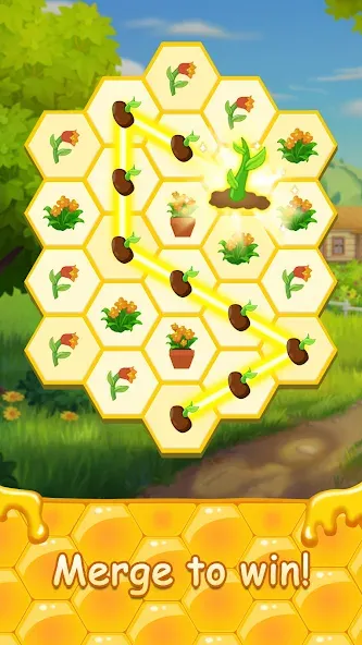 Скачать Honey Bottles - merge puzzle с модом — Много денег — скриншот 2