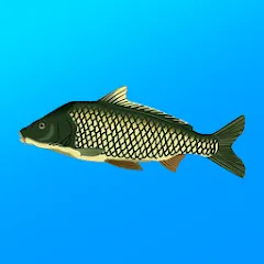 Скачать True Fishing. Simulator (Мод: Много денег) на Андроид