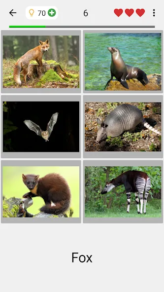 Animals Quiz Learn All Mammals (Мод Все уровни разблокированы) — скриншот 2 Animals Quiz Learn All Mammals (Мод Все уровни разблокированы) — скриншот 2