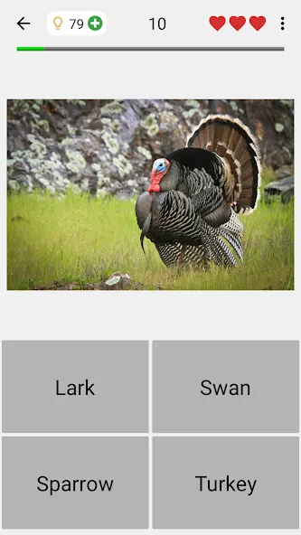 Animals Quiz Learn All Mammals (Мод Все уровни разблокированы) — скриншот 4 Animals Quiz Learn All Mammals (Мод Все уровни разблокированы) — скриншот 4