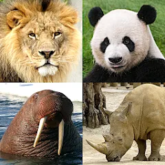 Animals Quiz Learn All Mammals (Мод Все уровни разблокированы)