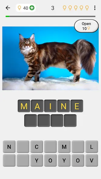 Взлом Cats Quiz Guess Popular Breeds — Все ответы открыты — скриншот 1 Взлом Cats Quiz Guess Popular Breeds — Все ответы открыты — скриншот 1