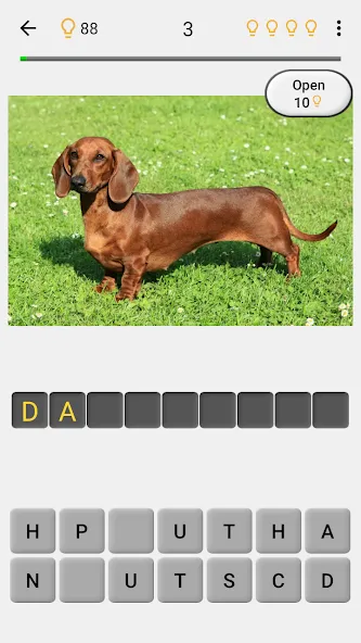 Dogs Quiz - Guess All Breeds! (Мод Всё открыто) — скриншот 2