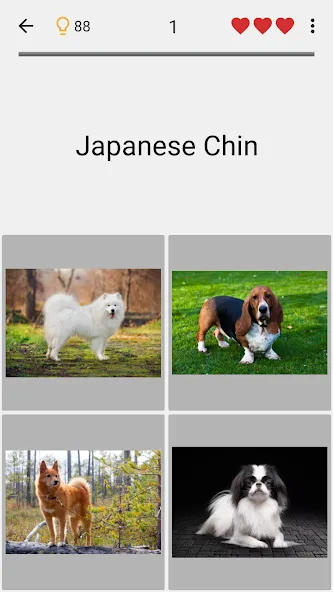 Dogs Quiz - Guess All Breeds! (Мод Всё открыто) — скриншот 4