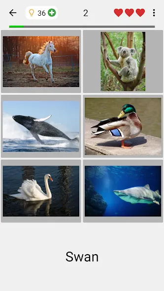 Скачать Guess Pictures and Words Quiz на Андроид — Все уровни разблокированы — скриншот 2