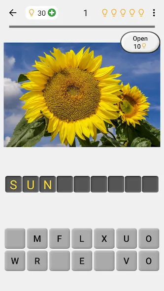 Скачать Flowers Quiz - Identify Plants (Мод: Разблокированные подсказки) на Андроид — скриншот 1