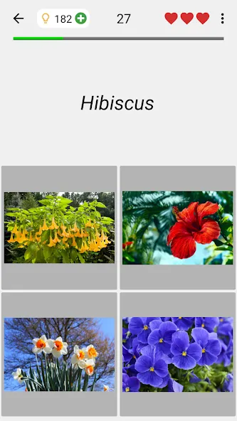 Скачать Flowers Quiz - Identify Plants (Мод: Разблокированные подсказки) на Андроид — скриншот 4
