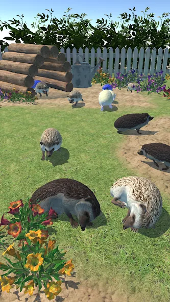 Hedgehog Friends — Мод: Много денег — скриншот 1