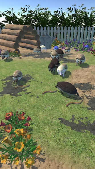 Hedgehog Friends — Мод: Много денег — скриншот 2