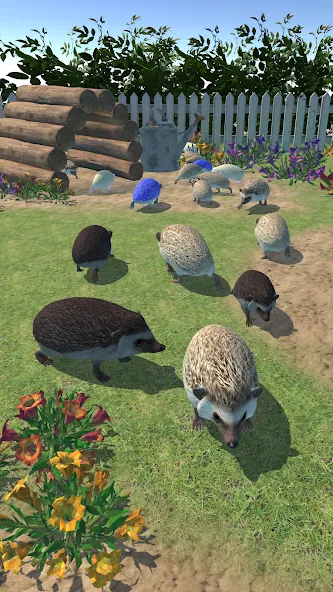 Hedgehog Friends — Мод: Много денег — скриншот 3