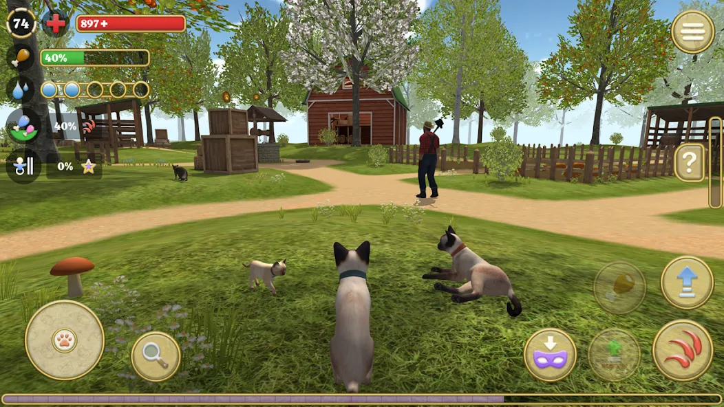Cat Simulator : Kitties Family MOD APK — Много денег — скриншот 1