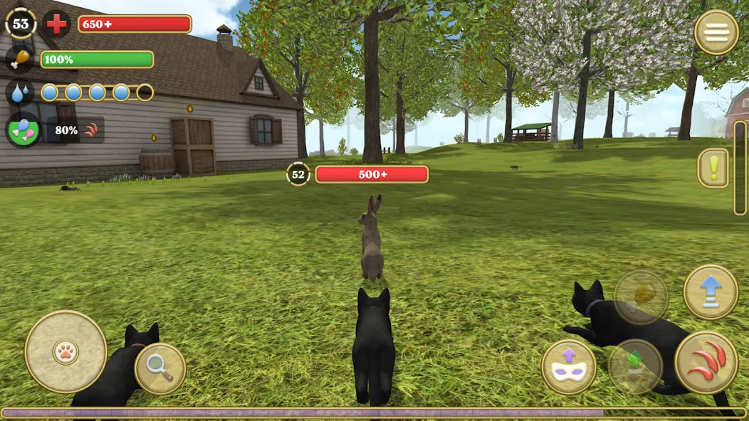 Cat Simulator : Kitties Family MOD APK — Много денег — скриншот 2