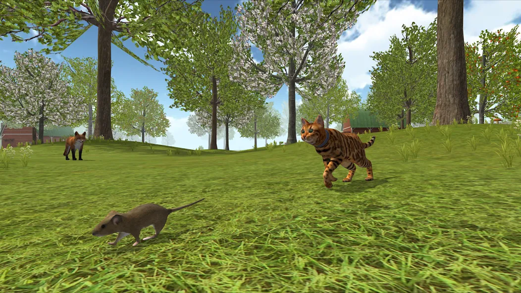 Cat Simulator : Kitties Family MOD APK — Много денег — скриншот 4