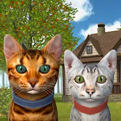 Cat Simulator : Kitties Family MOD APK — Много денег