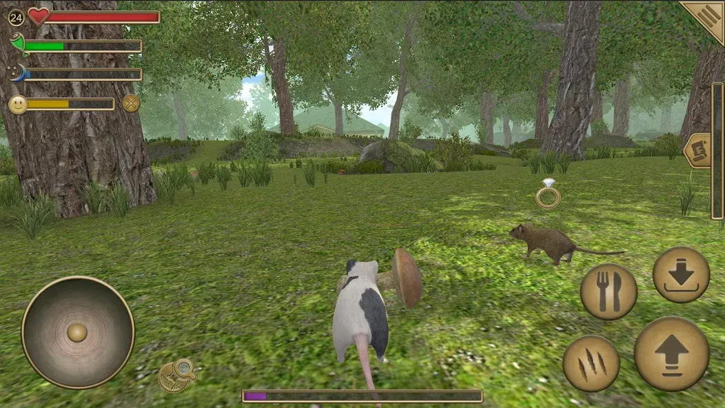 Скачать взлом Mouse Simulator : Forest Home на Андроид — Много денег — скриншот 1 Скачать взлом Mouse Simulator : Forest Home на Андроид — Много денег — скриншот 1