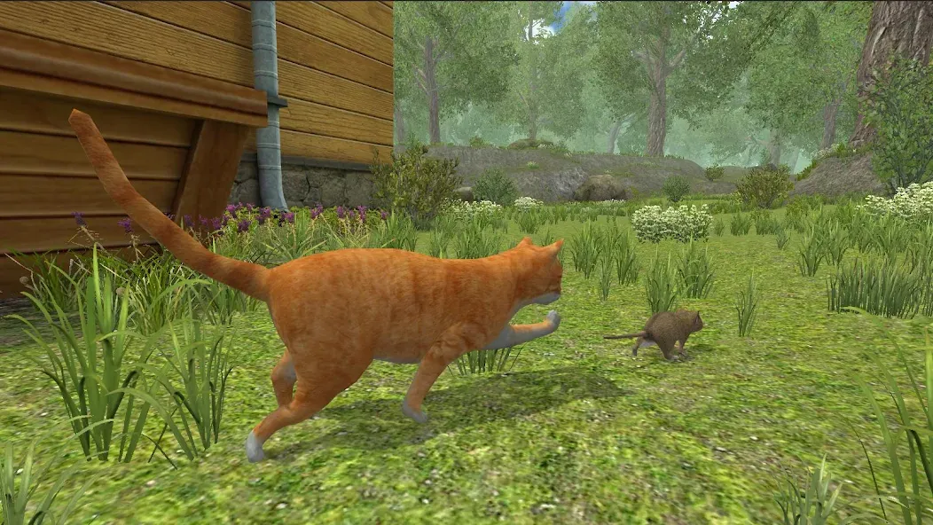 Скачать взлом Mouse Simulator : Forest Home на Андроид — Много денег — скриншот 3 Скачать взлом Mouse Simulator : Forest Home на Андроид — Много денег — скриншот 3