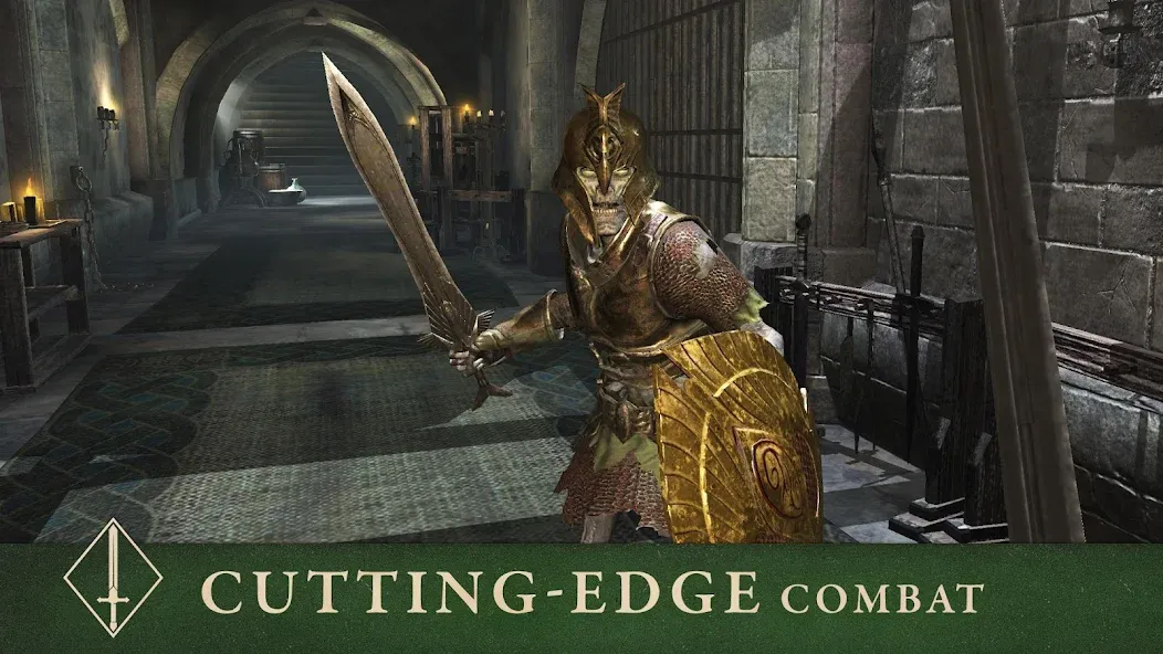 Взлом The Elder Scrolls: Blades — Много денег и золота — скриншот 5