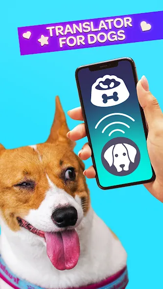 Скачать Dog Translator Pet Speak Talk на телефон — Все переводы разблокированы — скриншот 1 Скачать Dog Translator Pet Speak Talk на телефон — Все переводы разблокированы — скриншот 1