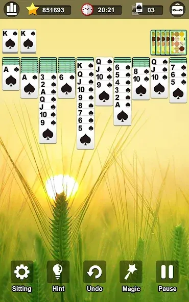 Spider Solitaire MOD APK на Android — Все темы разблокированы — скриншот 3