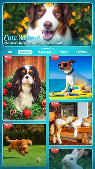 Jigsaw Puzzles — Взломанная версия (Все пазлы разблокированы) — скриншот 5