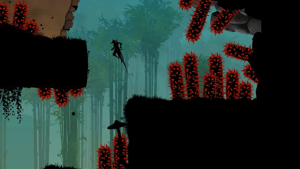 Ninja Arashi 2 MOD APK — Много денег — скриншот 1