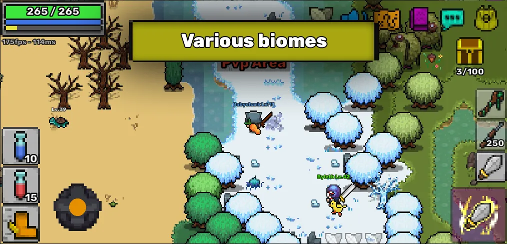 Pixil - MMORPG 2D ONLINE RPG — Мод: Много денег — скриншот 3