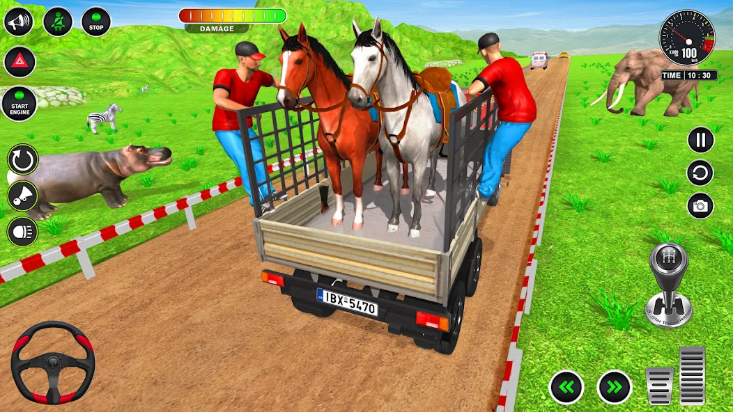 Animal Transport Truck Game 3D (Мод Много денег) — скриншот 4