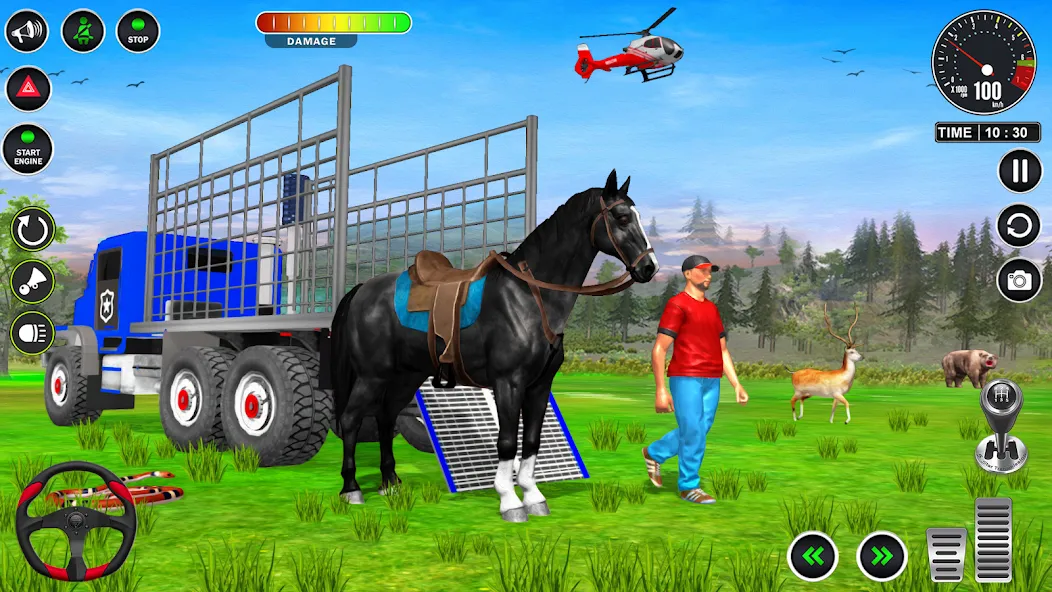 Animal Transport Truck Game 3D (Мод Много денег) — скриншот 5