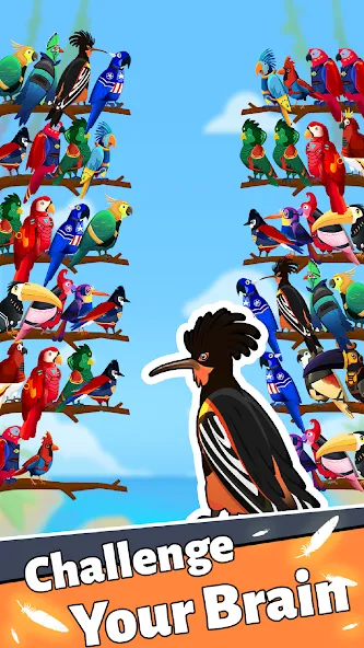 Bird Puzzle - Color Game MOD APK — Много монет — скриншот 2