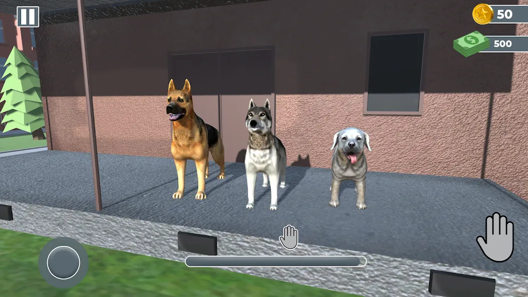 Скачать Animal Shelter: Pet Rescue 3D на Android — Много денег — скриншот 3