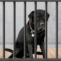 Скачать Animal Shelter: Pet Rescue 3D на Android — Много денег