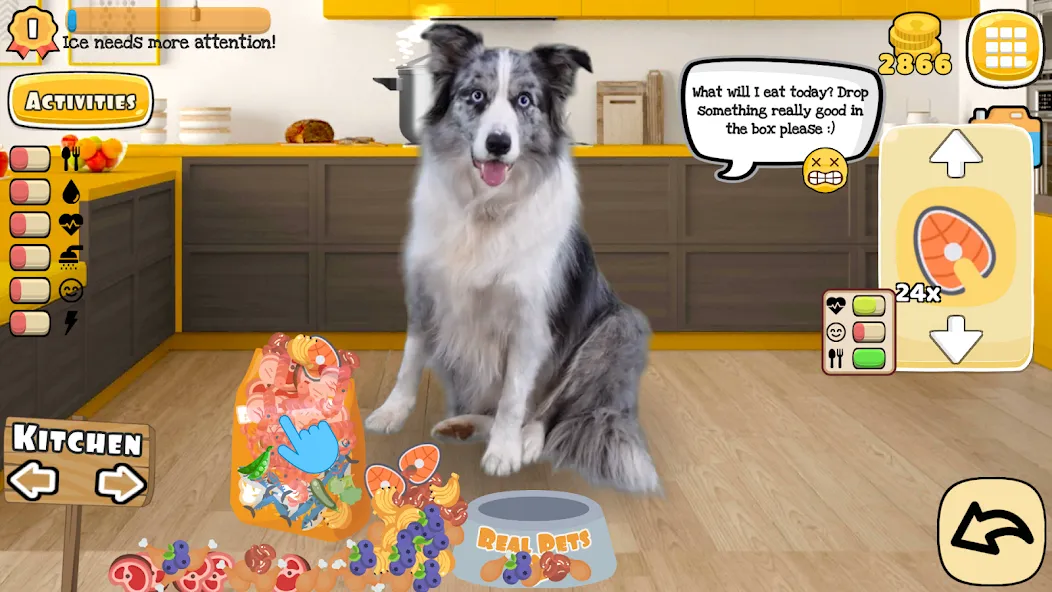 Adopt a pet : Corgi Games MOD — Много денег на Андроид — скриншот 1