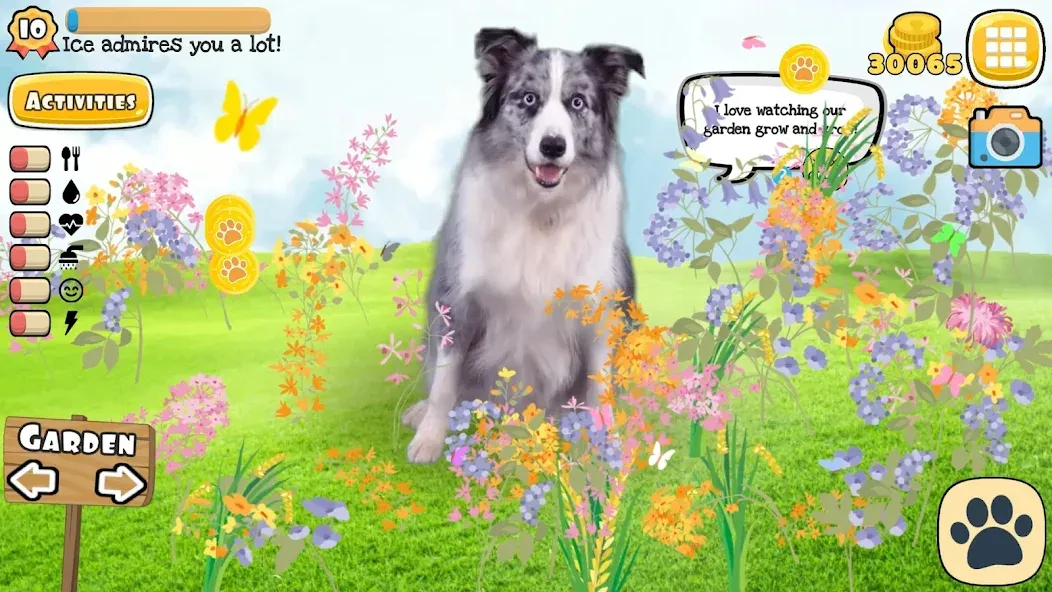 Adopt a pet : Corgi Games MOD — Много денег на Андроид — скриншот 4