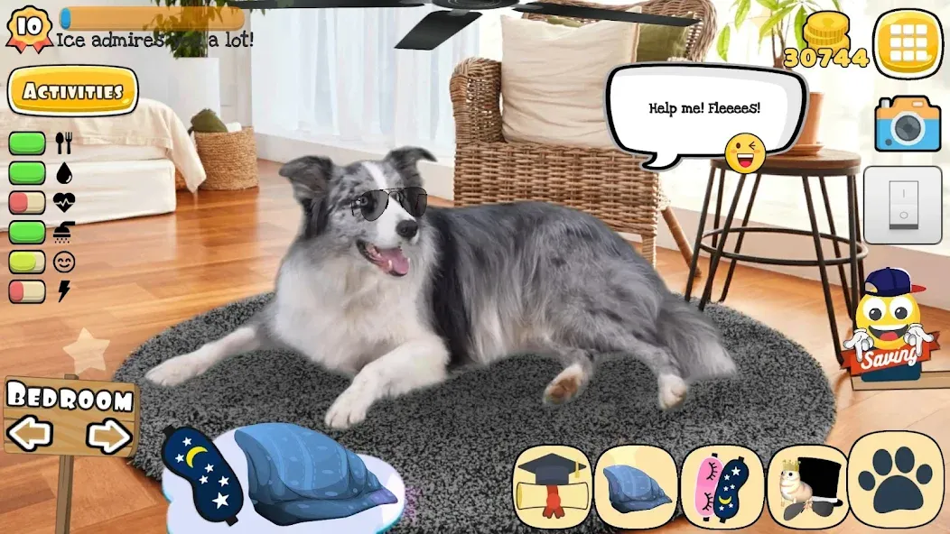 Adopt a pet : Corgi Games MOD — Много денег на Андроид — скриншот 5