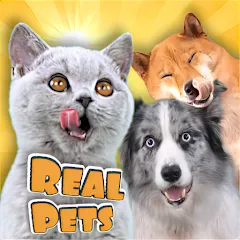 Adopt a pet : Corgi Games MOD — Много денег на Андроид