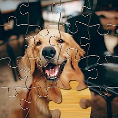 Jigsaw Go - Classic Jigsaw Puz — Мод: Все пазлы разблокированы