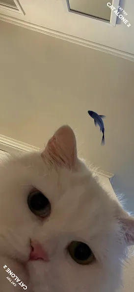 CAT ALONE 2 - Cat Toy на Андроид — Мод Всё разблокировано — скриншот 2