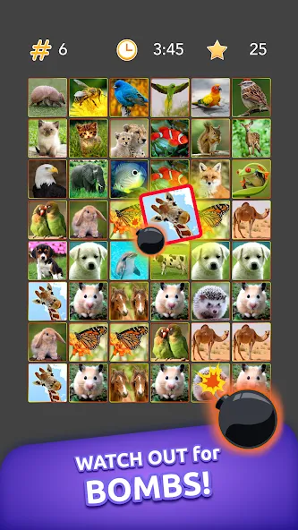 Onnect - Pair Matching Puzzle — Мод: Много денег и без рекламы — скриншот 5