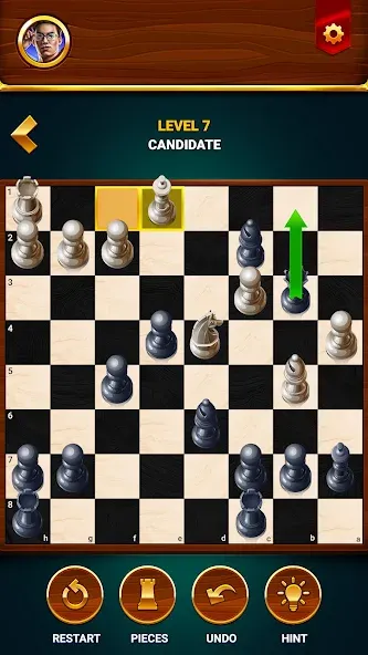 Скачать Chess - Offline Board Game — Все разблокировано — скриншот 5