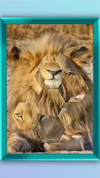 Скачать Jigsaw Puzzle - Jigsort Master на Android — Все пазлы разблокированы — скриншот 2