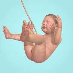 Idle 9 Months на Андроид — Мод Много денег и без рекламы