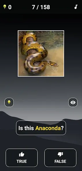 Скачать Animal Quiz: Guess the Animal (Мод: Все подсказки и уровни разблокированы) на Андроид — скриншот 3
